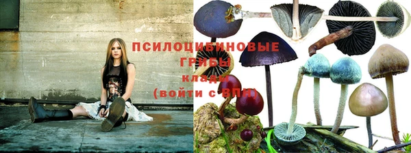 мдпв Гусиноозёрск