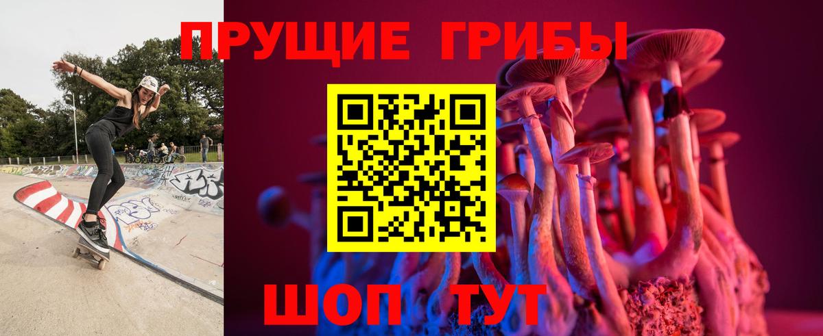 Псилоцибиновые грибы ЛСД Мценск