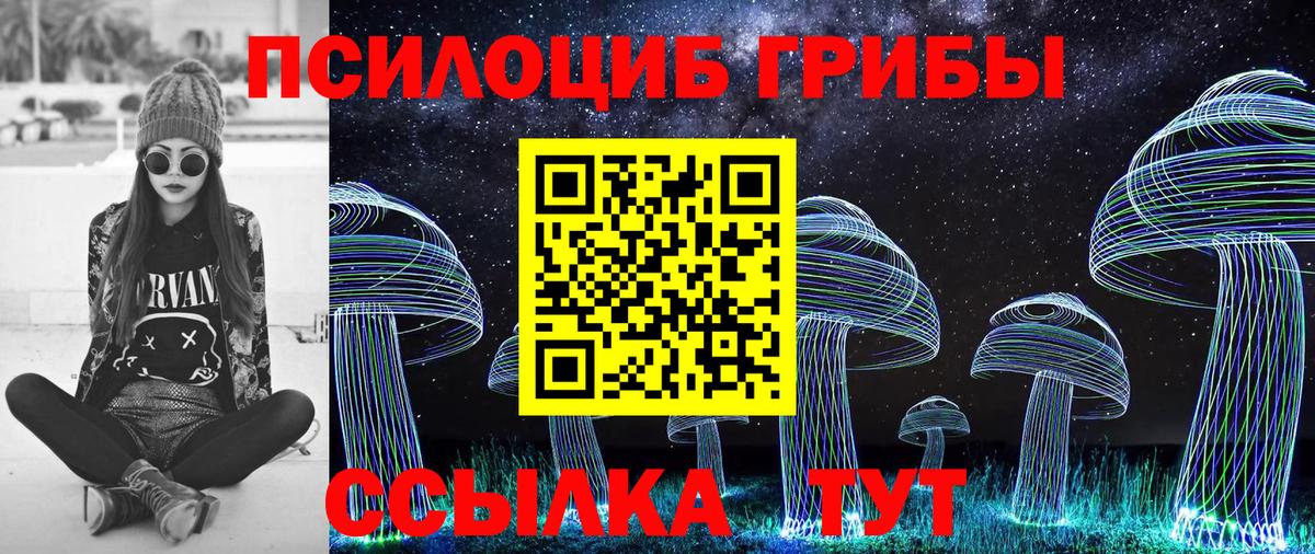 Галлюциногенные грибы MAGIC MUSHROOMS  как найти закладки  Мценск  Вход с VPN 