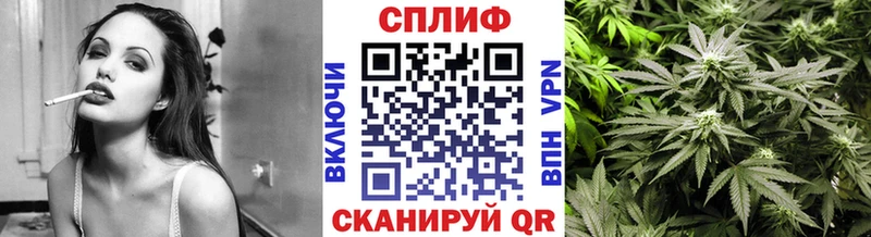 Бошки Шишки тримм Мценск
