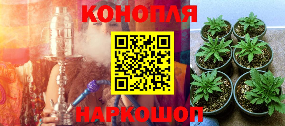 МАРИХУАНА LSD WEED  Бошки Шишки Ganja  Мценск  Бошки Шишки семена 